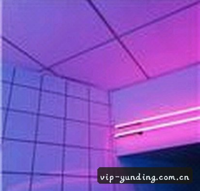 赵敏